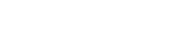 License Server Demo logo